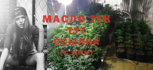 гашик Аркадак