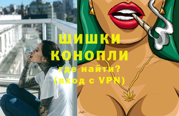 гашик Аркадак