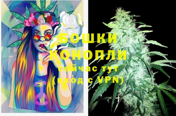 гашик Аркадак
