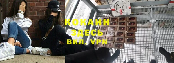 гашик Аркадак