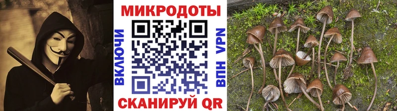 МЕГА как войти  Меленки  Псилоцибиновые грибы мухоморы  купить закладку 